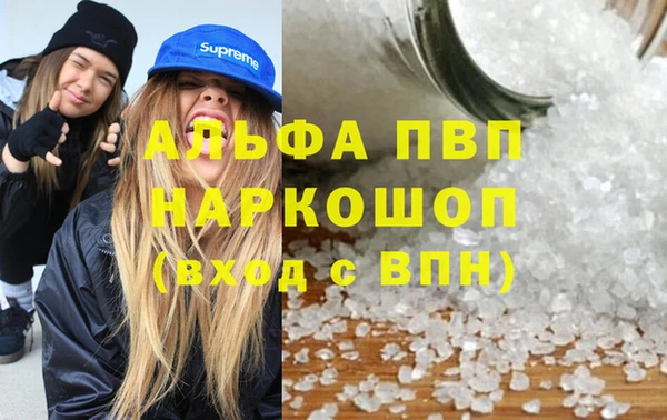 ГАЛЛЮЦИНОГЕННЫЕ ГРИБЫ Ладушкин