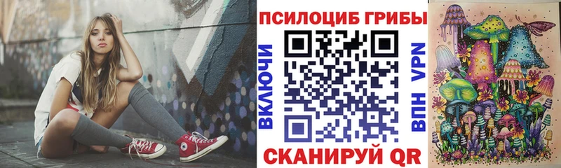 купить   Янаул  Псилоцибиновые грибы мицелий 