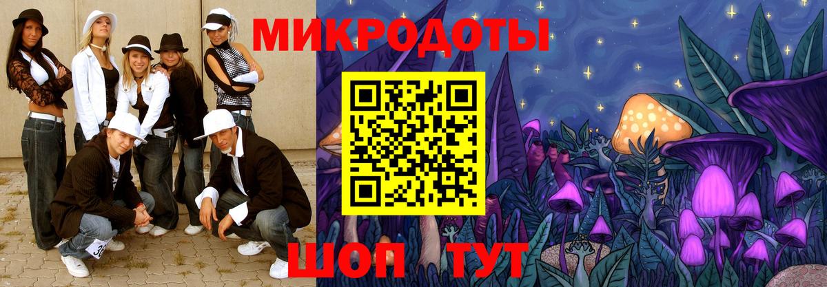 Псилоцибиновые грибы Psilocybine cubensis Янаул