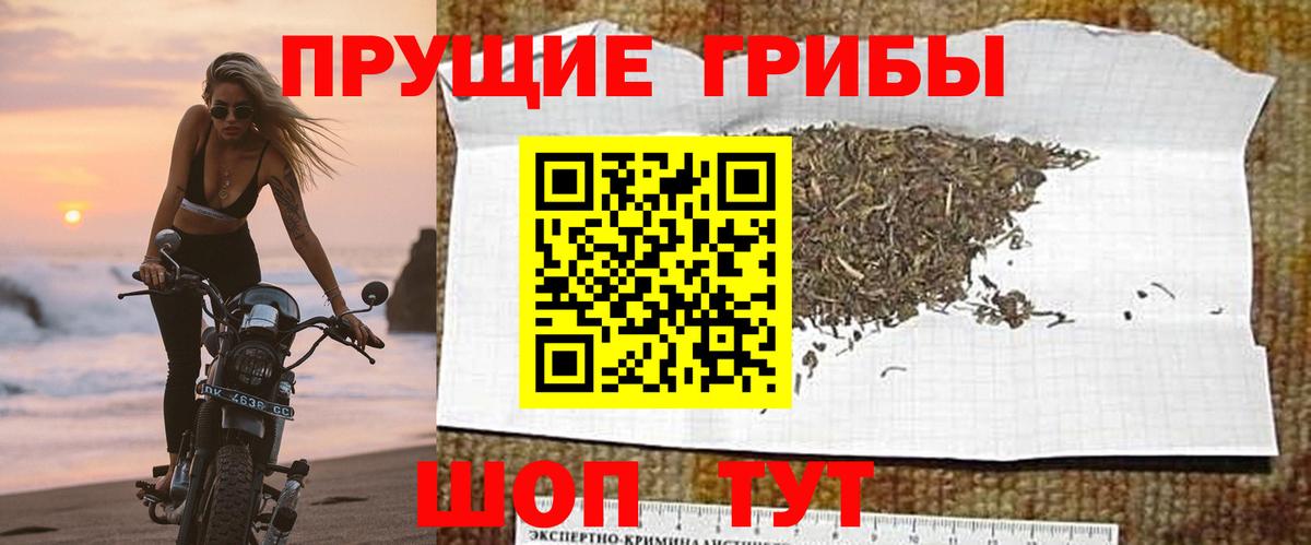 Янаул  Псилоцибиновые грибы Psilocybe  Вход с VPN 